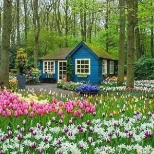 Mars au jardin d'agrément