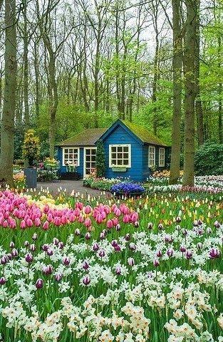 Mars au jardin d'agrément