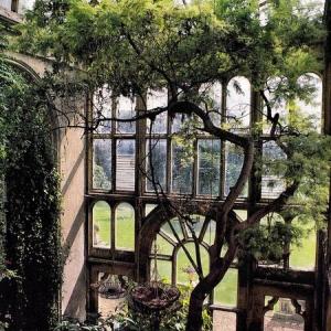 Mars dans la serre, la couche et la véranda