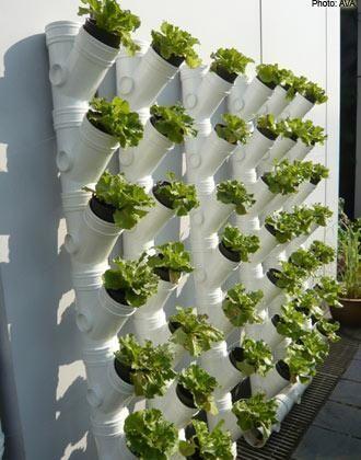 Mars au potager