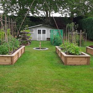 Potager à la maison