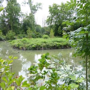 Références de jardin