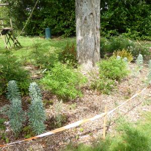 Références de jardin