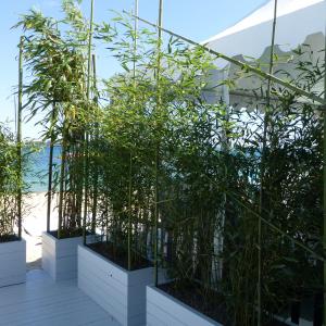 Références de jardin