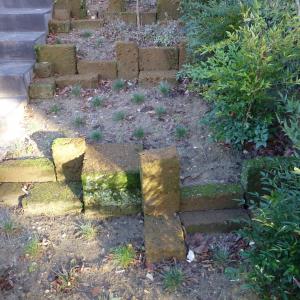 Références de jardin