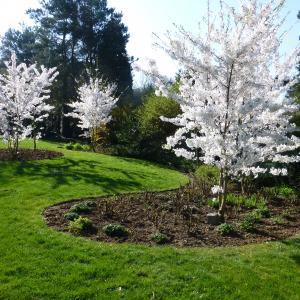 Références de jardin