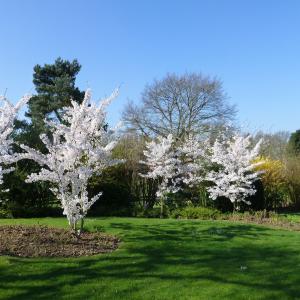 Références de jardin