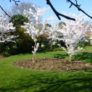 Références de jardin