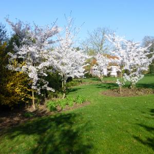 Références de jardin