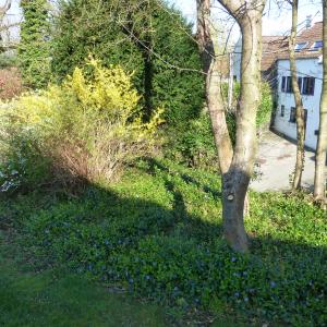 Références de jardin