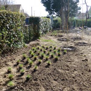 Références de jardin