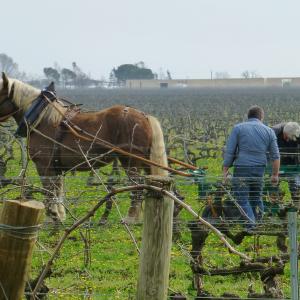 Références de jardin