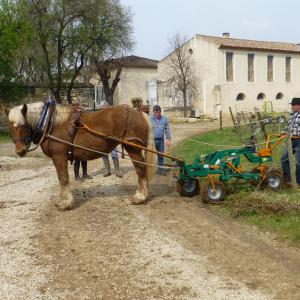 Références de jardin