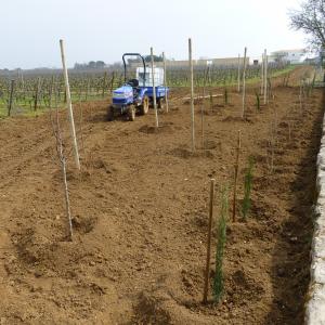 Références de jardin