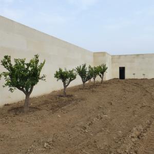 Références de jardin