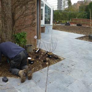 Références de jardin