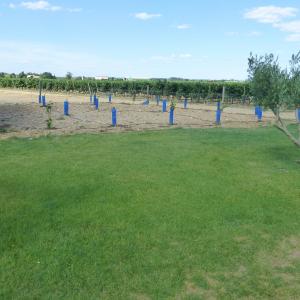 Références de jardin